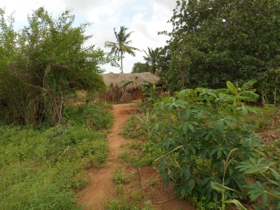 Landbruksskole i Kibiti, Tanzania